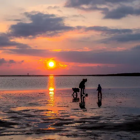 Mellumplate 37 * Dorumer Neufeld