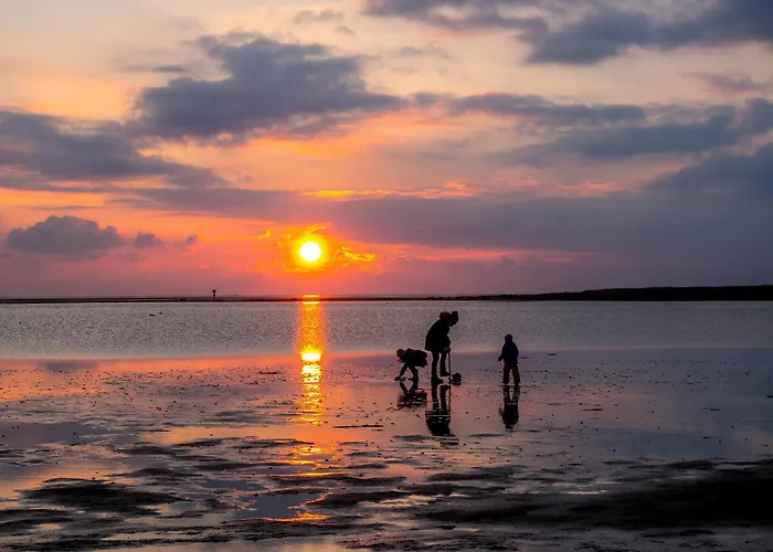 Mellumplate 37 * دورم نيوفيلد