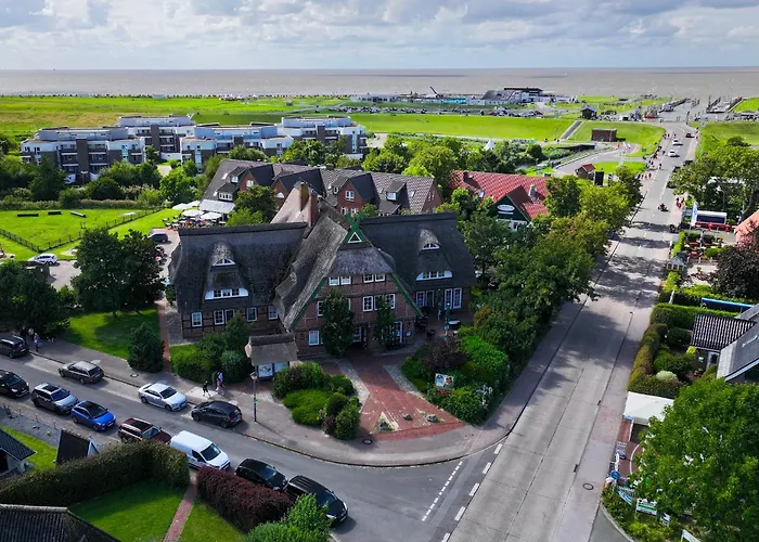 Mellumplate 37 دورم نيوفيلد