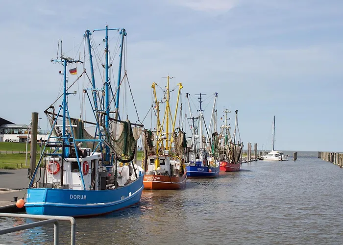 Mellumplate 37 * دورم نيوفيلد